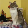 Отзыв от Лена Нечаева